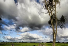 开运体育新闻-立法司长摔砂挡板被捕法新，任内政局气得低报级外交